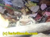 /home//u458753944/public_html/sourcegallery//McKaig Nature Center/2024-09-23/P9231588.JPG